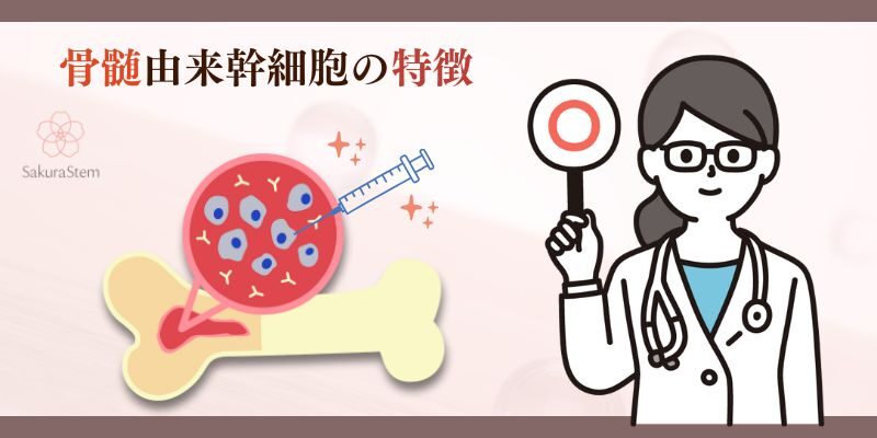 ソワプレ_骨髄由来幹細胞の特徴がわからん！