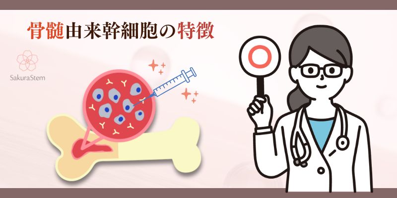 ソワプレ_骨髄由来幹細胞の特徴がわからん！