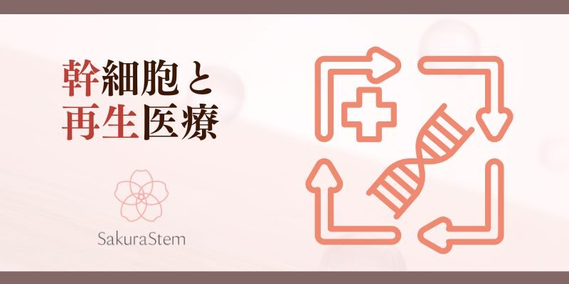 幹細胞と再生医療について知りたかった！