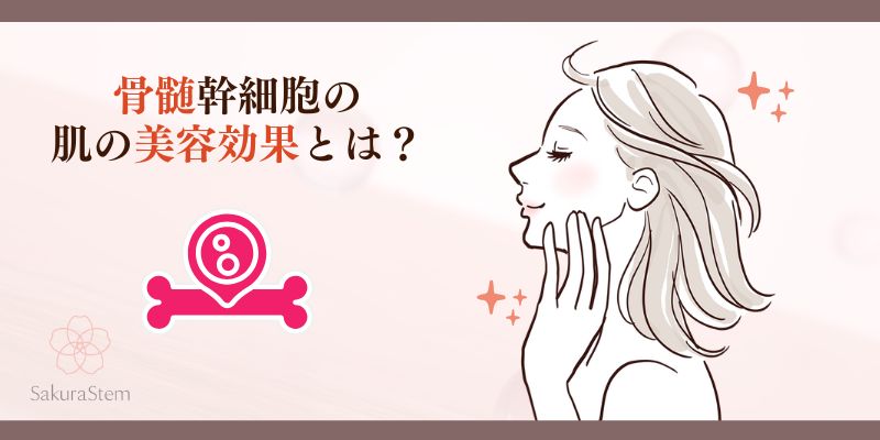 ソワプレ_骨髄幹細胞の肌の美容効果とは？